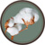 Organic Cotton Benefits Image